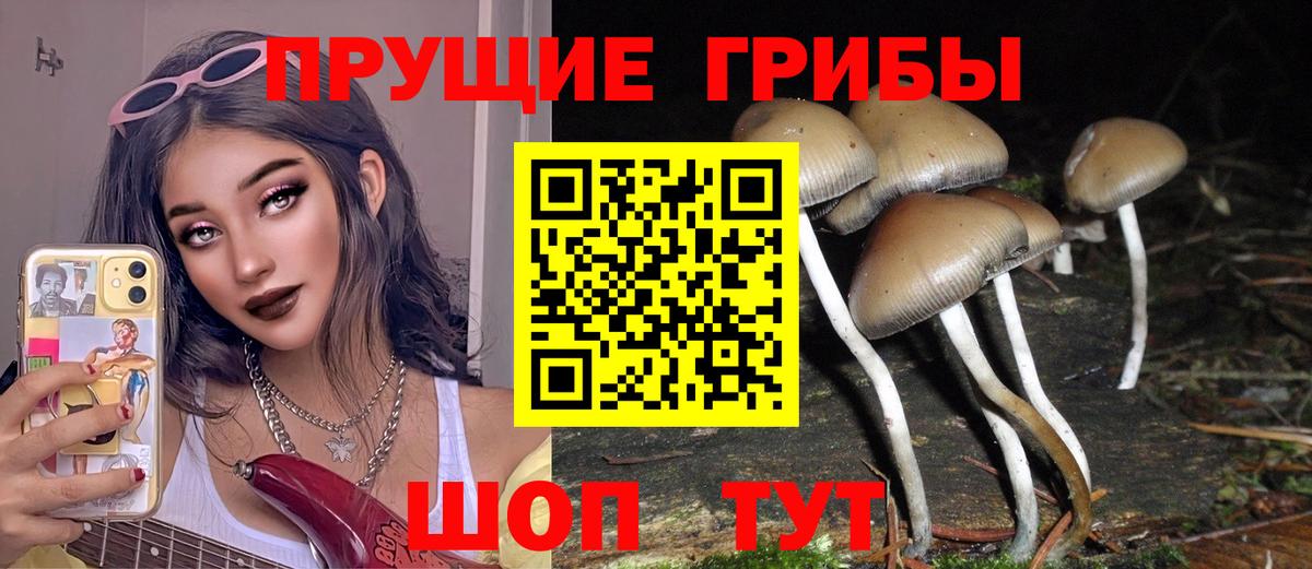 Воронеж  Псилоцибиновые грибы Cubensis  Вход с VPN 